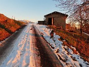 68 Birba ascolta il richiamo del suo padrone e torna a casa sua